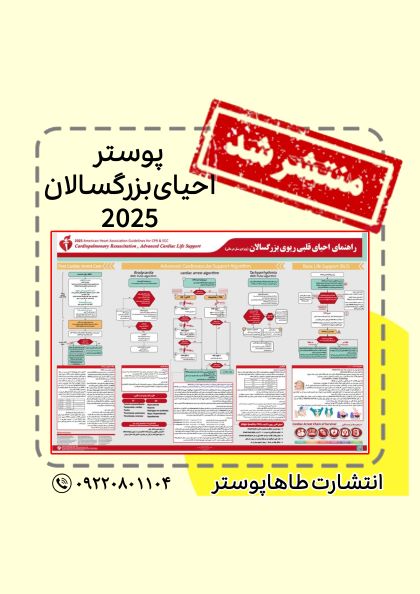 پوستر احیا بزرگسالان الگوریتمی CPR 2025