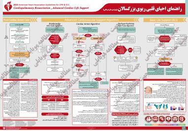پوستر های جدید احیای قلبی ریوی 2025 CPR 