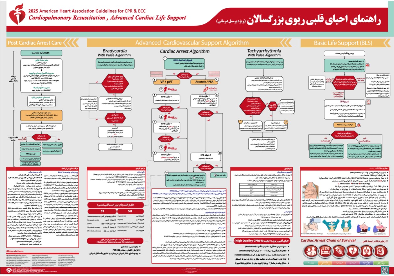 پوستر احیای قلبی ریوی 2025